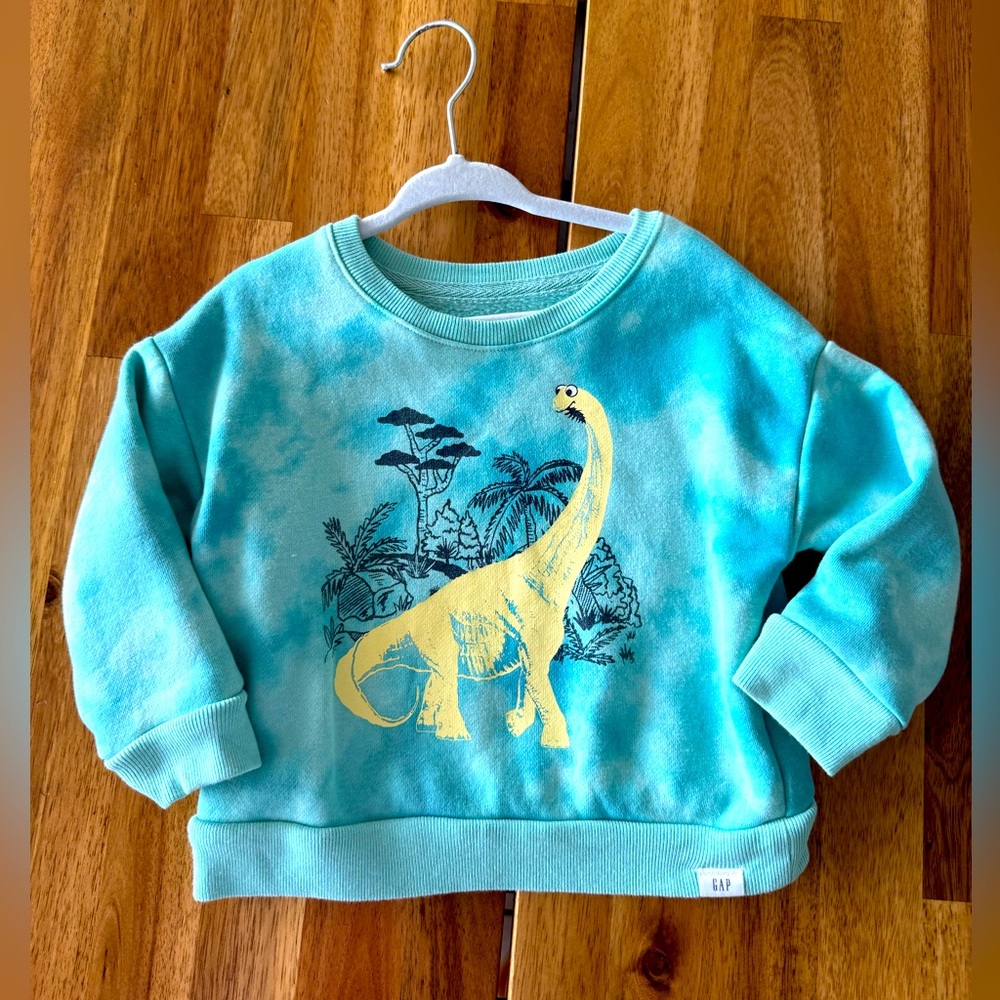 GAP Kids Teal Dinosaur Sweatshirt